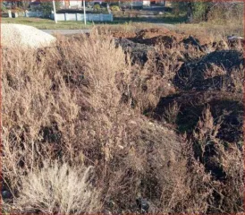 Право аренды земельного участка, 1500 кв.м, Липецкая обл., Усмань. Право аренды земельного участка в Липецкой обл., 1500 кв.м. Право аренды на земельный участок, площадь: 1 500кв.м., адрес (местонахождение): Российская Федерация, Липецкая область, Усманский муниципальный район, городское поселение…