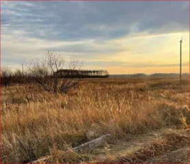 Земельный участок площадью 1 000 000 кв.м в Курганской области, Шадринский район, МО Краснонивинский сельсовет, в границах бывшего ЗАО НП "Совхоз Шадринский". Кадастровый номер: 45:20:051301:231. Категория земель: земли сельскохозяйственного назначения. Вид разрешенного использования: для…