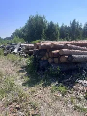 Древесина лиственница и ель, 10,409 куб.м, Абанский район, п. Озерный: 19 сортиментов лиственницы по 6 м – 6,751 куб.м, 15 сортиментов ели – 3,658 куб.м (1177 ВД/МВД/СО 2026г.) Местоположение: п. Озерный, Абанского района. Хранение на открытой местности. Количество и породный состав: 19 сортиментов…