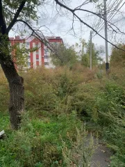 Земельный участок площадью 984 +/-11 кв.м, кадастровый номер 27:23:0040706:8, вид разрешенного использования - для строительства индивидуального жилого дома, местонахождение: Хабаровский край, г. Хабаровск, ул. Данчука, 9А. Регистрационный номер 660/А. Задаток 492250 руб. Шаг 19690 руб. Площадь…