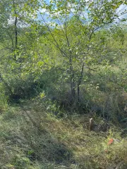 Земельный участок площадью 1395 м2 с кадастровый номер 03:19:250102:577.  Категория земель: Земли населенных пунктов Вид разрешенного использования Для дачного строительства с правом строительства жилых домов.
Адрес по документам: Респ. Бурятия, р-н Тарбагатайский