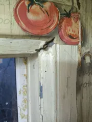 Грузовой автомобиль Scania 2015 года выпуска.