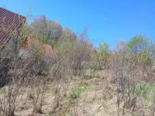 Земельный участок 992 кв.м в Горно-Алтайске, кадастровый номер 04:01:011305:375, расположенный по адресу: Республика Алтай, г. Горно-Алтайск, СТ «Транспортник-1», земельный участок 15, площадь 992 +/- 11, виды разрешенного использования: для садоводства, вид права, доля в праве: собственность. На…