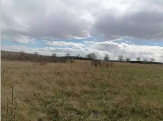 Земельный участок, площадью 746+/-10 кв.м., кадастровый номер 19:01:130501:1073, расположенный по адресу: РОССИЯ, Республика Хакасия, городской округ город Абакан, город Абакан, Территория СОСН Колягинские холмы-Колягино-1, улица Пихтовая, земельный участок 23А.