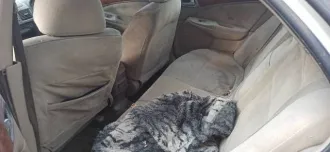 Nissan Bluebird Sylphy (NISSAN BLUEBIRD SYLPHY), 2004 г.в., 120 л.с., 389723 км, АКПП, номер двигателя № QG18-351423А, номер кузова №QNG10-107107, номер шасси НЕ УСТАНОВЛЕН, цвет серый, 1769 куб. см., гос. номер №Е815МУ54. Автомобиль находится в неисправном состоянии, не на ходу.