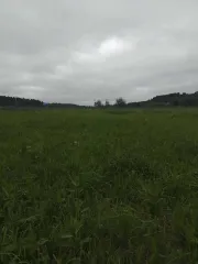 Земельный участок 1500 кв. м, доля 1/8. Архангельская область, Устьянский муниципальный район, МО «Шангальское», д. Юрятинская. Кадастровый номер: 29:18:110501:632. Категория земель: земли населенных пунктов. Вид разрешенного использования: для индивидуального жилищного строительства. Участок…