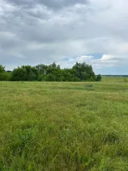 Земельные участки (136 шт.) 361 187 кв. м, Самарская область, Красноярский район, земельные участки (136 шт.) общей площадью 361 187 кв. м в границах ZAO «Kamenskoye» Красноярского района Самарской области, назначение: данные отсутствуют, виды разрешенного использования: для комплексного освоения в…