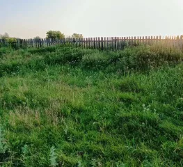 Земельный участок для ведения личного подсобного хозяйства. Кадастровый номер: 02:53:100113:89. Местоположение установлено относительно ориентира, расположенного в границах участка. Почтовый адрес ориентира: Республика Башкортостан, р-н. Шаранский, с/с. Шаранский, с. Шаран, ул. Заречная, д. 1 Г…