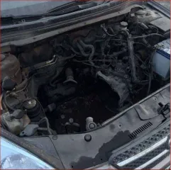 Kia Ceed, 2008 года выпуска, VIN XWEFF241280003845