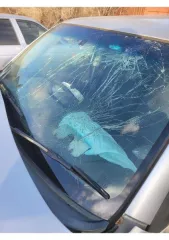 Автомобиль марки Mercedes-Benz, Honda Vigor, Toyota Probox, ВАЗ-1111, Ford Focus, Nissan Presage, Mazda Demio, Nissan Avenir, ВАЗ 21063, Nissan Bluebird, ГАЗ 3110. Имущество продается в том виде, в каком оно есть, в случае продажи возврату/обмену не подлежит. За скрытые дефекты имущества продавец…