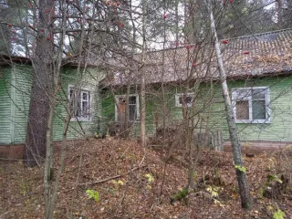Земельный участок 1613 кв.м с лабораторным корпусом 196,7 кв.м. Кадастровый номер 29:14:050302:1056 (реестровый номер федерального имущества П11310006597), категория земель – земли населенных пунктов, вид разрешенного использования – для общественно-деловых целей, с расположенным на нем объектом…