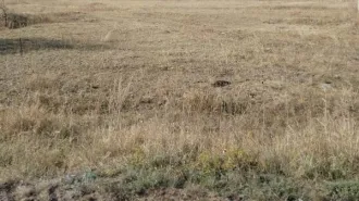 Право заключения договора аренды земельного участка В соответствии с описанием лота в Извещении 
Кадастровый номер земельного участка: 34:17:130006:543 
Площадь земельного участка: 6564 
Вид разрешённого использования земельного участка: 1.15 
