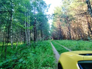 Земельный участок, 495300 кв.м, Нижегородская область, Сокольский район Имущество АО «КАПИТАЛ АСИСТАНС»: земельный участок, кадастровый номер 52:07:0800006:1592, 495300 кв.м. Земельный участок для индивидуального жилищного строительства, земли населенных пунктов, кадастровый номер…