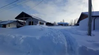 Два дома по 110 кв.м и участки 790 кв.м, Новосибирская обл. 1) Жилой дом с кадастровым номером 54:19:133701:3046, общей площадью 110 кв.м, адрес местонахождения 630551, Новосибирская обл., Новосибирский р-н, пос. Гусиный Брод, тер. Микрорайон Идиллия, д. 193. 2) Земельный участок с кадастровым…