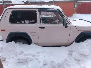 ВАЗ 2121 (4x4), 1992 года, 75 лс, 193 630 км, полный привод, легковой автомобиль, № шасси отсутствует, № кузова XTA212100N0926347, белого цвета. ТС б/у, возможно наличие скрытых дефектов, физическое, техническое состояние, комплектность проверяется при личном осмотре.