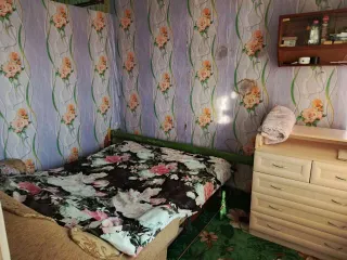 1/3 доля дома 54м² и 1/3 доля земельного участка в Удмуртии, кадастровый номер дома 18:09:048004:61, кадастровый номер земельного участка 18:09:048004:19, категория земель: Земли населенных пунктов, вид разрешённого использования: Для ведения личного подсобного хозяйства