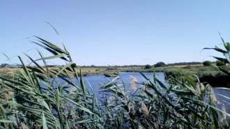 ГТС водохозяйственного объекта согласно учетной карточке № 1733003 Балка Салантырь, кадастровый номер 61:33:0600002:404 Общее техническое состояние гидротехнического сооружения оценивается как работоспособно (продолжает выполнять заданные функции), но неисправно; неудовлетворительное состояние…