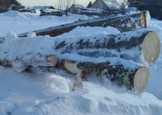 Кедр, 0,77 куб.м, Пировское лесничество 1 ствол дерева (распиленного на 3 сегмента) породы кедр (939 ВД/МВД/ОД/2026), хранится на открытой местности, объем 0,77 куб.м. Древесина находится в КГБУ "Пировское лесничество". (939 ВД/МВД/ОД/2026) Количество и породный состав древесины: 1 ствол дерева…