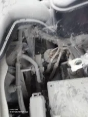 Годные остатки транспортное средство марки Toyota модели Camry цвет черный с пластинами государственных регистрационных номеров Республики Беларусь BУ5383АВ-1 год выпуска 2007 маркировочное обозначение номера кузова JTNBE40K503102536 не является первичным. Экспертиза и оценка транспортного средства…