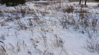 Земельный участок площадью 800 кв. м, кадастровый номер 03:24:000000:47090. Местоположение: Республика Бурятия, г. Улан-Удэ, 4-й км Спиртзаводского тракта, уч. 952. Категория земель - земли населенных пунктов, вид разрешенного использования - под строительство индивидуальных жилых домов. Основной…