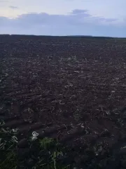 1/260 доля в праве на земельный участок, площадь: 8 141 178 кв.м., адрес (местонахождение): Российская Федерация, Республика Татарстан (Татарстан), м.р-н Черемшанский, с.п. Ивашкинское, с Ивашкино, тер. Паевые земли, з/у 1, категория земель: Земли сельскохозяйственного назначения, разрешенное…