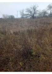 Земельный участок площадью 600 кв.м, расположенный по адресу: Курская область, Курский район, Полевской сельсовет, ул. Набережная, д. 143. Кадастровый номер: 46:11:150206:648. В Едином государственном реестре недвижимости отсутствуют сведения о местоположении границ земельного участка. Регистрация…