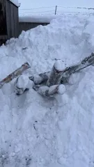 Годные остатки древесины топливный материал. Составной лот: годные остатки древесины (топливный материал). Подробный состав и местонахождение приведен в информационном сообщении. Состояние и недостатки имущества в соответствии с заключением экспертизы о безопасности имущества и его пригодности к…