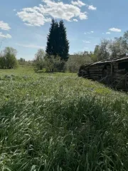 Земельный участок площадью 1435 кв.м. Назначение: земли населенных пунктов. Адрес: Ярославская область, Любимский район, деревня Карганово. Кадастровый номер: 76:06:110601:68. Имеются аресты и ограничения. Границы участка в ЕГРН не установлены (неразмежован).