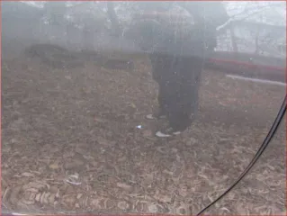 Lexus GS300 2006 года, VIN: JTHBH96SX05041803, госномер: Х014ЕО774.