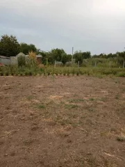 Вид объекта недвижимости Земельный участок, Кадастровый номер 23:19:0106066:8, Площадь 1000 кв. м., Вид права, доля в праве Собственность, Назначение объекта Под индивидуальное строительство, Адрес Почтовый адрес ориентира: Краснодарский край, р н Ленинградский, с/п. Ленинградское, ст…