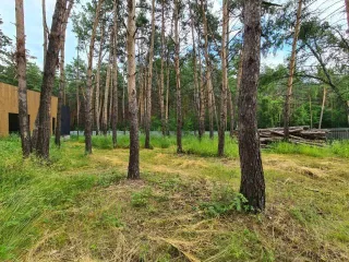 Дом, баня и земельный участок 1456 кв.м. в Новосибирской обл., дом, баня (незавершенное строительство) на земельном участке. Адрес: Новосибирская обл, р-н Ордынский, п Чернаково, пер Приморский, 19. - земельный участок, площадью 1456,0 кв. метров, имеющий кадастровый номер 54:20:022618:61; -…