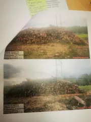 Древесина береза, осина, ель, ольха. Береза – 137,7 куб.м (деловая: крупная – 1,7 куб.м, средняя – 11,9 куб.м, мелкая – 0,5 куб.м, дровяная – 123,6 куб.м), осина – 181,8 куб.м (дровяная – 181,8 куб.м), ель – 95,2 куб.м (деловая: крупная – 1,2 куб.м, средняя – 17 куб.м, мелкая – 4,2 куб.м, дровяная…