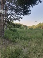 Земельный участок 1500 м², городской округ Ревда Зем. уч. пл. 1500 м2, СО, го Ревда, залог PAO Sberbank - Земельный участок с кадастровым номером 66:21:1401002:410, площадью 1 500 м², местоположение «Свердловская область, городской округ Ревда, севернее с. Кунгурка, урочище Дегтярные, сектор М…