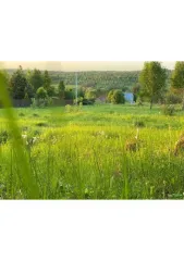 Земельный участок 1500 м², Тульская обл., Ленинский р-н, Некрасово. Адрес (местонахождение): 301111, Тульская обл, Ленинский р-н, Некрасово, д, участок № 58, кадастровый номер: 71:14:010803:173. Ограничение прав и обременение объекта недвижимости: ограничения прав на земельный участок…