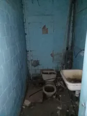 Нежилое помещение площадью 194.6 кв. м, кадастровый номер 22:15:050501:3389 по адресу: Алтайский край, р-н. Зональный, с. Зональное, ул. Ленина, д. 29, пом. 9. Кадастровый номер объекта недвижимости (здания, сооружения), в пределах которого расположено помещение: 22:15:050501:1831 Кадастровая…