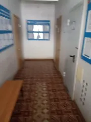 Нежилое помещение № 2П общей площадью 75,6 кв.м, назначение: нежилое, кадастровый номер 55:08:220106:458, адрес: Омская область, Колосовский район, с. Колосовка, ул. Ленина, д. 1, РНФИ П13560001963. Вид ограничений и обременений: отсутствуют. Общая площадь: 75.6. Кадастровый номер…