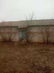 Здание нежилое (здание магазина), общей площадью 131,9 кв.м. и 
Земельный участок, общей площадью 210+/-10,0 кв.м, 
Адрес: Волгоградская область, х. Абрамов, ул. Кленовая, д. 1 
(Совместное имущество с бывшей супругой). 
Не является предметом залога