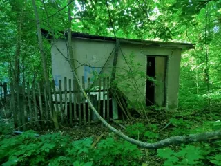 Детский сад с хозпостройками и земельным участком, 1099,1 кв.м, Нижегородская область. Продажа муниципального имущества – здание детского сада, общей площадью 1045,4 кв.м., кадастровый номер 52:24:0080402:382, сарай каменный, общей площадью 42,6 кв.м., кадастровый номер 52:24:0080402:384, топочное…