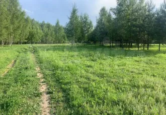 Земельный участок, кадастровый номер: 50:16:0502056:441, находящийся по адресу: Московская обл., Ногинский р-н, ЗАО «Электростальское». Виды разрешенного использования объекта недвижимости: пищевая промышленность. Площадь: 44142 +/- 147,07 кв.м. Находится в залоге у Morskoi Bank (AO).