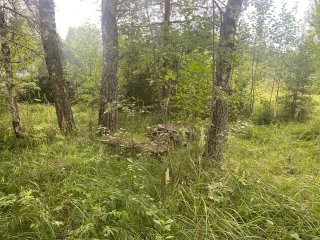 Земельный участок 750 кв.м Московская область для индивидуального садоводства. Местоположение установлено относительно ориентира, расположенного в границах участка. Почтовый адрес ориентира: обл. Московская, р-н Талдомский, д. Кушки. Кадастровый номер 50:01:0060351:34