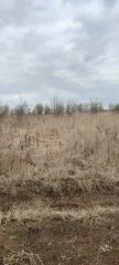 Земельный участок площадью 700 кв.м. Кадастровый номер: 50:23:0050573:1520. Категория земель: земли сельскохозяйственного назначения. Виды разрешенного использования: ведение садоводства. Местоположение: Российская Федерация, Московская область, городской округ Раменский, деревня Аргуново.