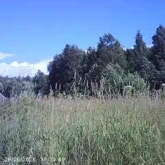 Земельный участок 1200 кв.м, с. Белая Колпь, Московская область, муниципальный округ Шаховская, примерная площадь 1200 кв.м., кадастровый квартал 50:06:0040203, категория – земли населенных пунктов, расположен по адресу: Московская область, муниципальный округ Шаховская, с. Белая Колпь, цель…