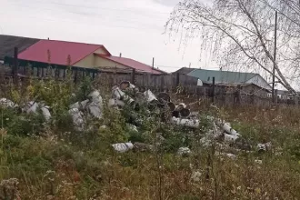 Дрова швырок, общим объемом 8,15 куб.м Дрова швырок, общим объемом 8,15 куб.м (реализация как годные остатки) 
Количество и породный состав древесины: дрова швырок, общим объемом 8.15 куб.м. 
