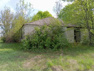 Земельный участок 9300 кв.м с постройками 481.2 кв.м, Брянская область. Продажа по минимально допустимой цене. Кадастровый номер участка 32:18:0090102:126, реестровый номер федерального имущества П11340001625. На участке расположены: бригадный дом площадью 161,3 кв. м с кадастровым номером…