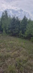 Земельный участок 1006 кв.м. в Свердловской области, г. Заречный, восточнее д. Гагарка, кадастровый (условный) номер: 66:42:0201003:1772, вид собственности: индивидуальная.