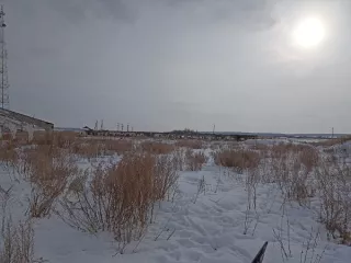 Объекты недвижимого имущества, расположенные на земельном участке площадью 27480 кв.м. с кадастровым номером 45:07:030502:228: здание свинарника, назначение: нежилое, кадастровый номер 45:07:030502:213, площадью 1353,8 кв.м., количество этаже 1  здание свинарника, назначение: нежилое, кадастровый…