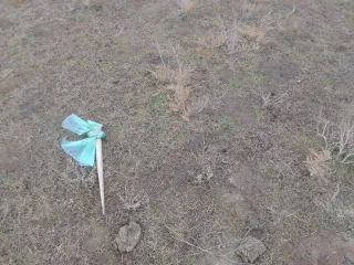 Земельный участок 500 кв.м, Астраханская область, Камызякский район, сельское поселение Образцово-Травинский сельсовет, село Образцово-Травино, улица Мирная, дом 9, кадастровый номер 30:05:150301:850