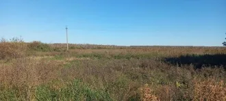 Земельный участок 660416 кв.м, Курганская область, кадастровый номер 45:21:020601:858, площадь 660416, адрес: Российская Федерация, Курганская область, муниципальный округ Шатровский, село Ожогино, западная окраина. Основной вид разрешенного использования: 1.0. Кадастровый номер земельного участка…