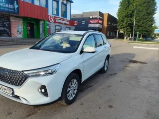 Автомобиль HAVAL M6 2024 года выпуска, VIN LGWEF4A55RF712303. Имущество является предметом залога: АО «Альфа-Банк»