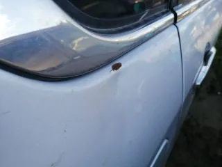 Nissan Almera 2013 года, 102 лс, 387728 км, VIN Z8NAJL00049406570